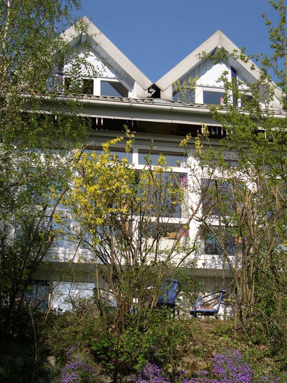 Gesundheitshotel Haus Sonnenstein Salem  Exteriör bild